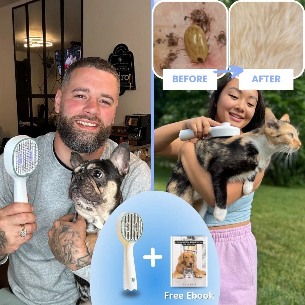 UVGroom UV Pet Groomer