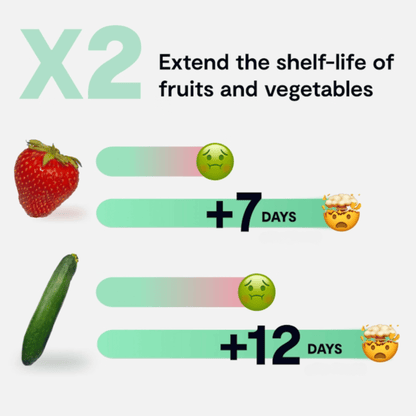 Fridgie The fridge purifier that keeps your food fresh