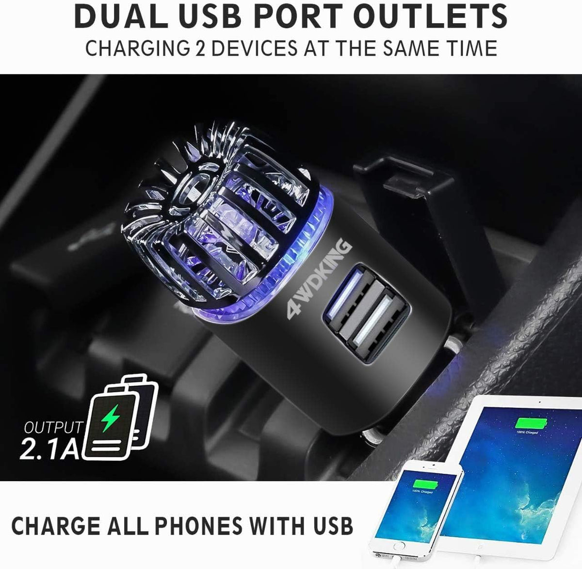 AirPlug Ionic Car Air Purifier