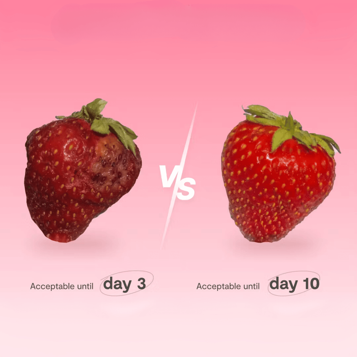 Fridgie The fridge purifier that keeps your food fresh
