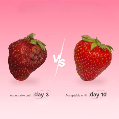 Fridgie The fridge purifier that keeps your food fresh