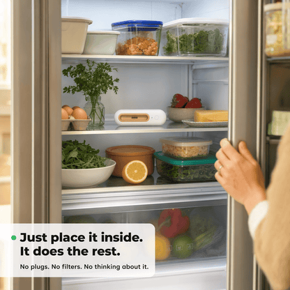 Fridgie Keep Food Fresh 4x Longer & Slash Your Grocery Bills