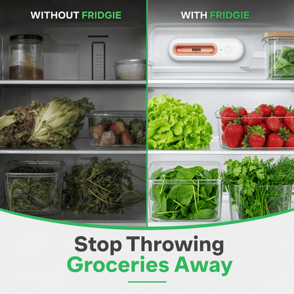 Fridgie Keep Food Fresh 4x Longer & Slash Your Grocery Bills