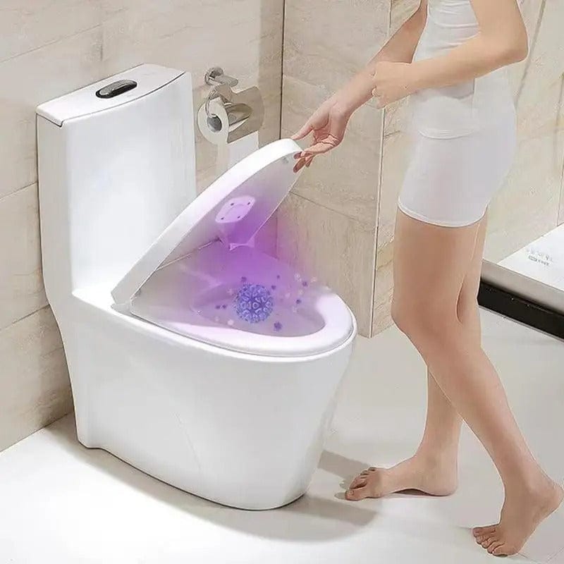 UVFlush Toilet Sterilizer